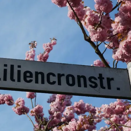 Lilo- Mittendrin Und Ganz Dicht Bei