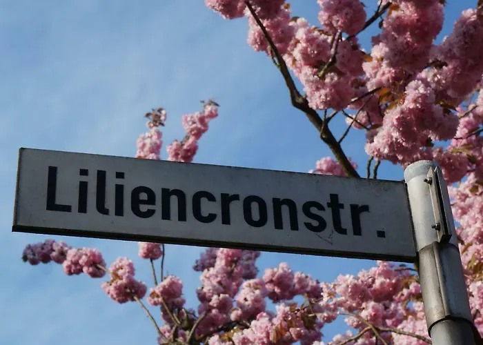 Lilo- Mittendrin Und Ganz Dicht Bei